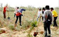 植林活動のようす