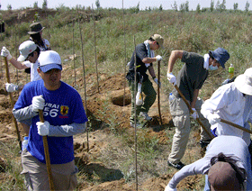 第5回植林のようす