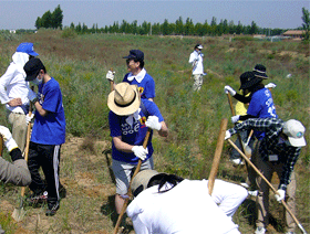 第5回植林のようす
