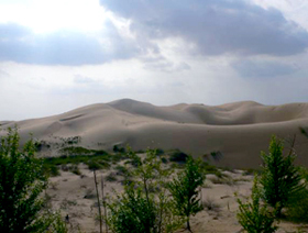 4年前のクブチ沙漠